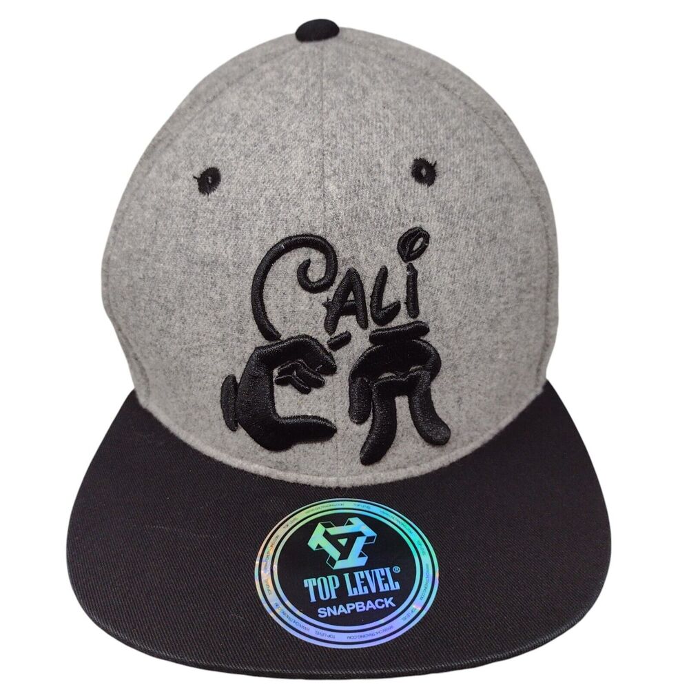 Cali Snapback Hat Gray OSFA Embroidered Colorblock Top Level 6 Panel